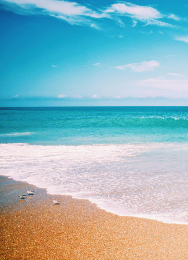 We’re taking a short break!