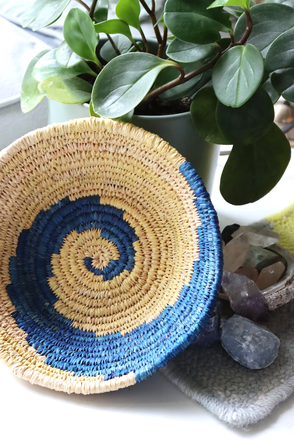 Wave Basket Kit & Online Course