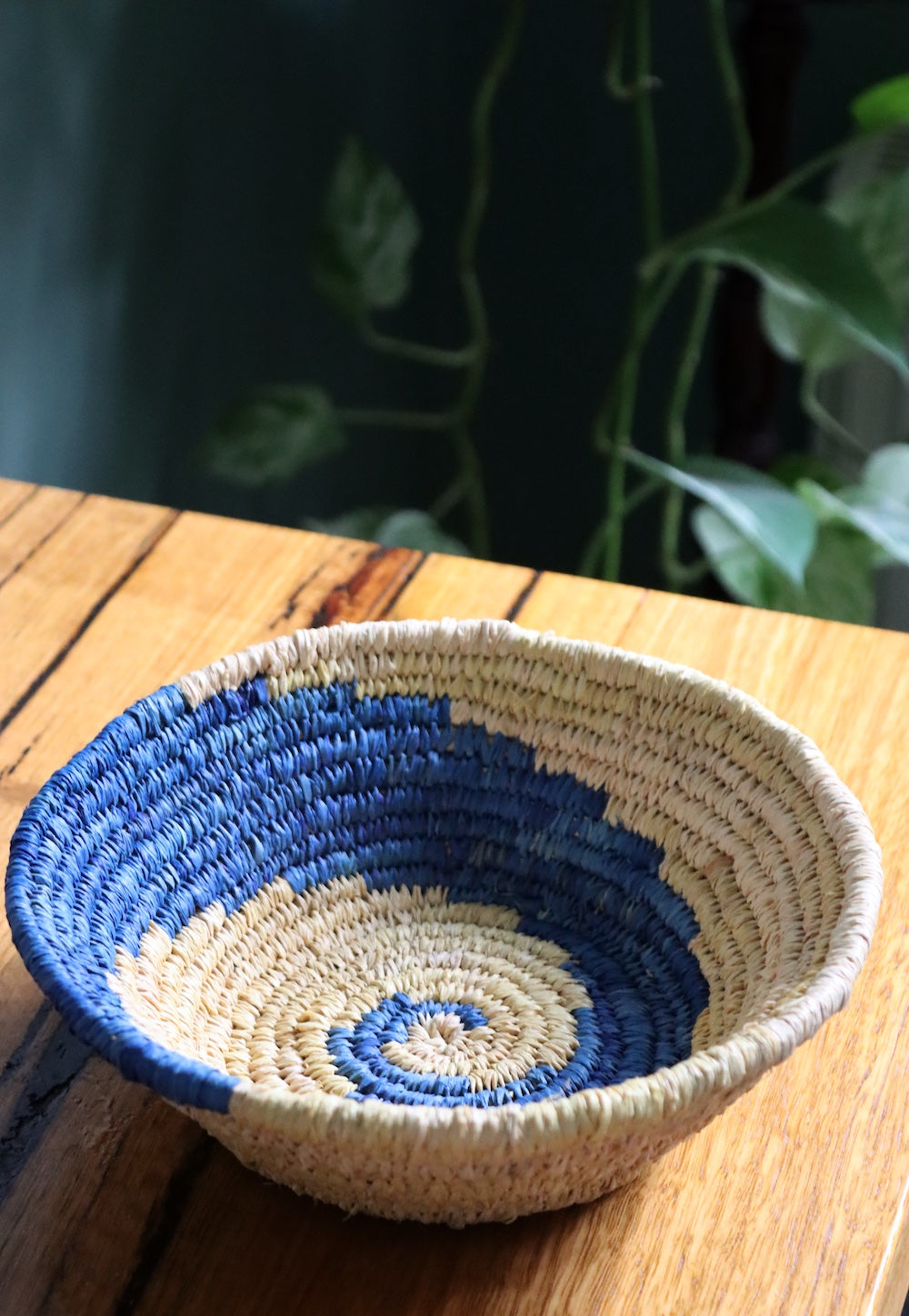 Wave Basket Kit & Online Course