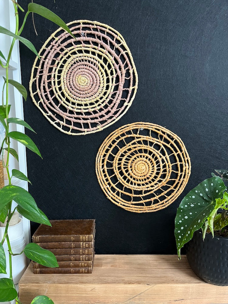 Raffia Wall Hanging Kit & Online Course (5 col)