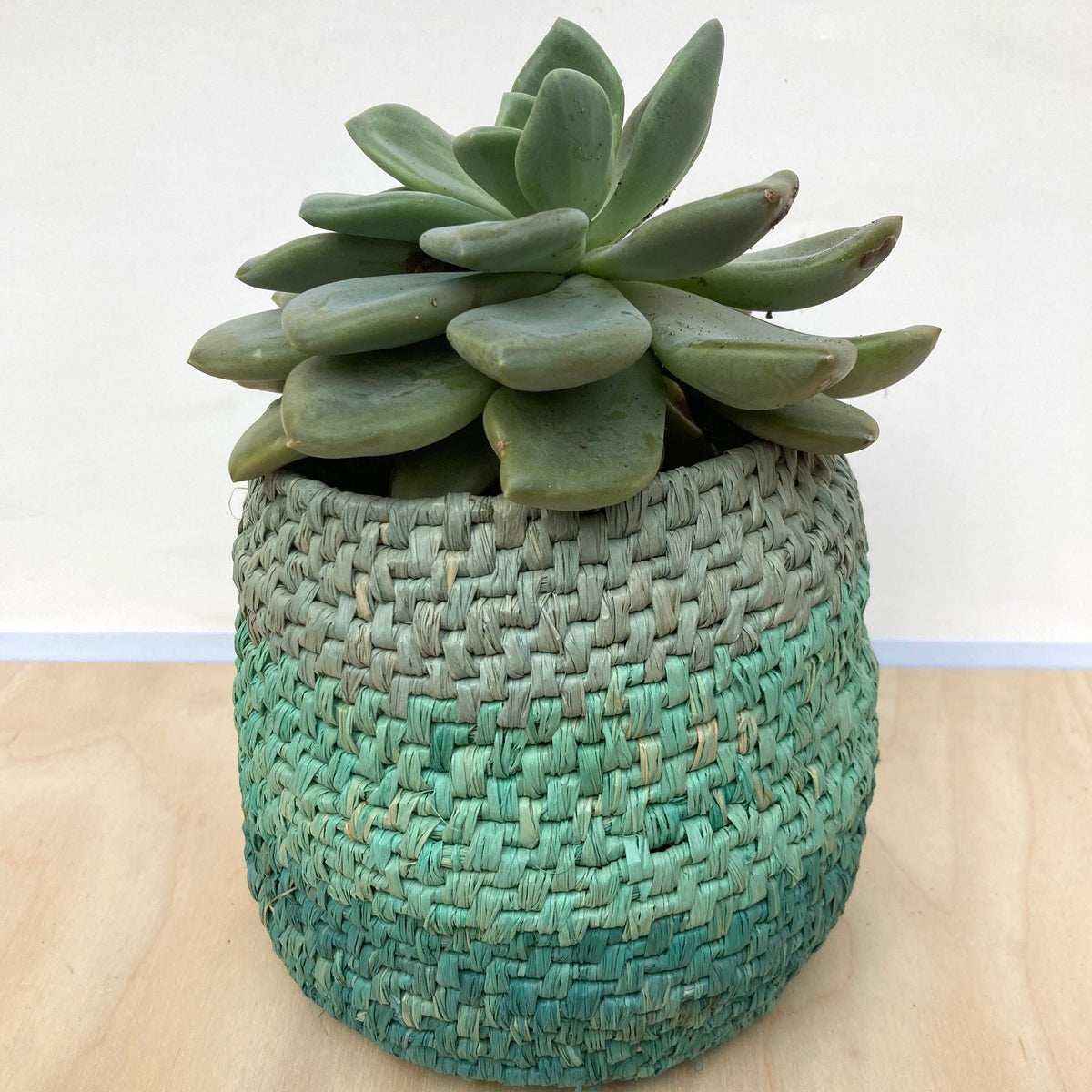 Raffia Basket Kit - Ombré Opal