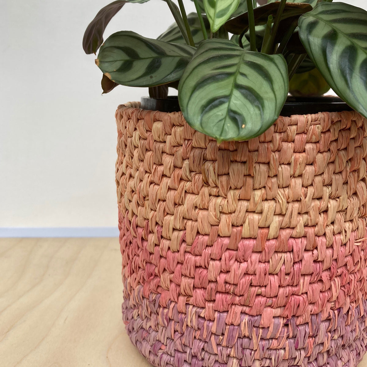 Raffia 50g - Coral (Hand-dyed)