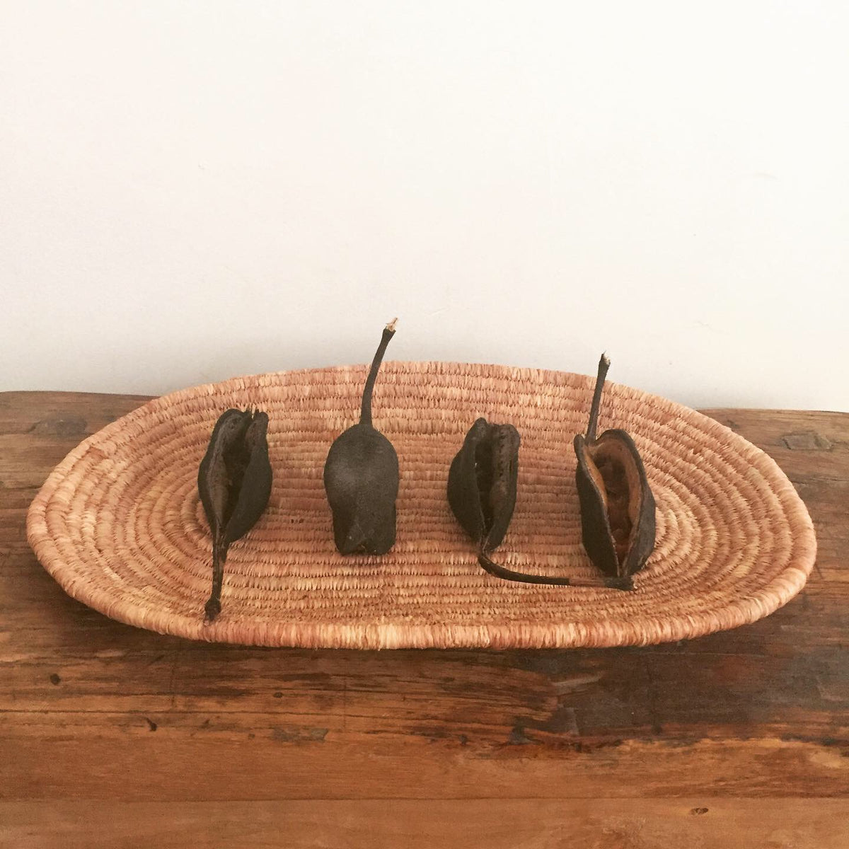 Raffia 50g - Burnt Umber (Hand-dyed)