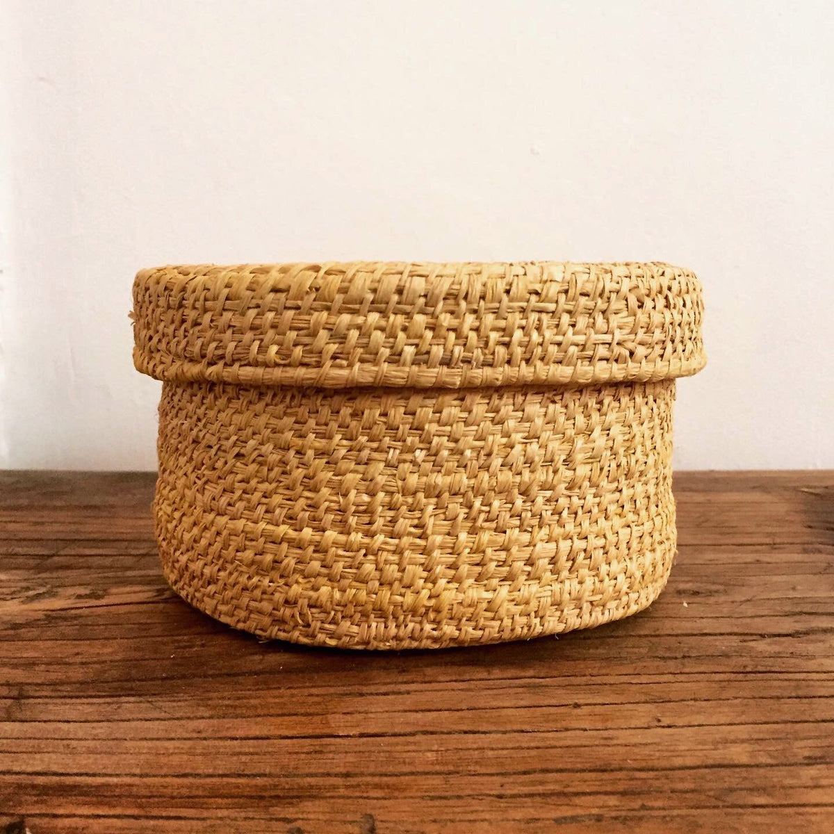 Starter Kit - Wattle