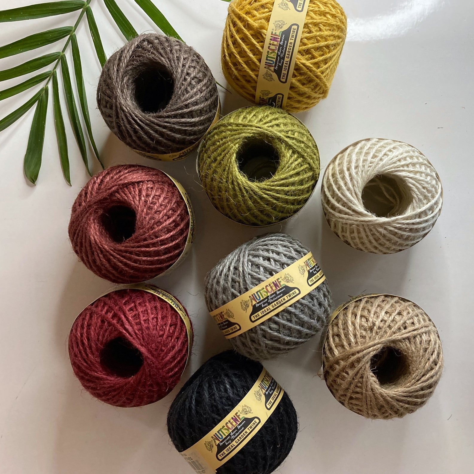 The Raffia Connection
