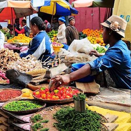 Raffia &amp; Hemp Bundle - Malagasy Market