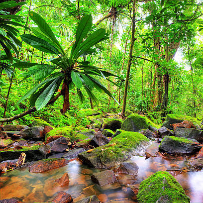 Raffia & Hemp Bundle - Rainforest