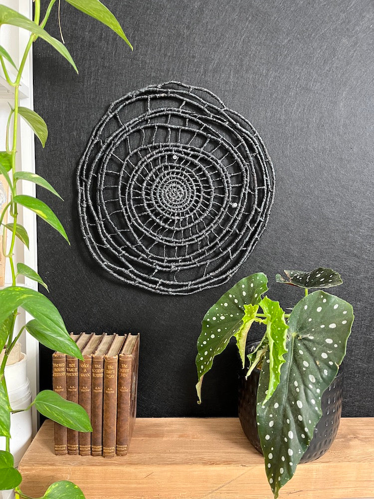 Raffia Wall Hanging Kit &amp; Online Course (1 col)