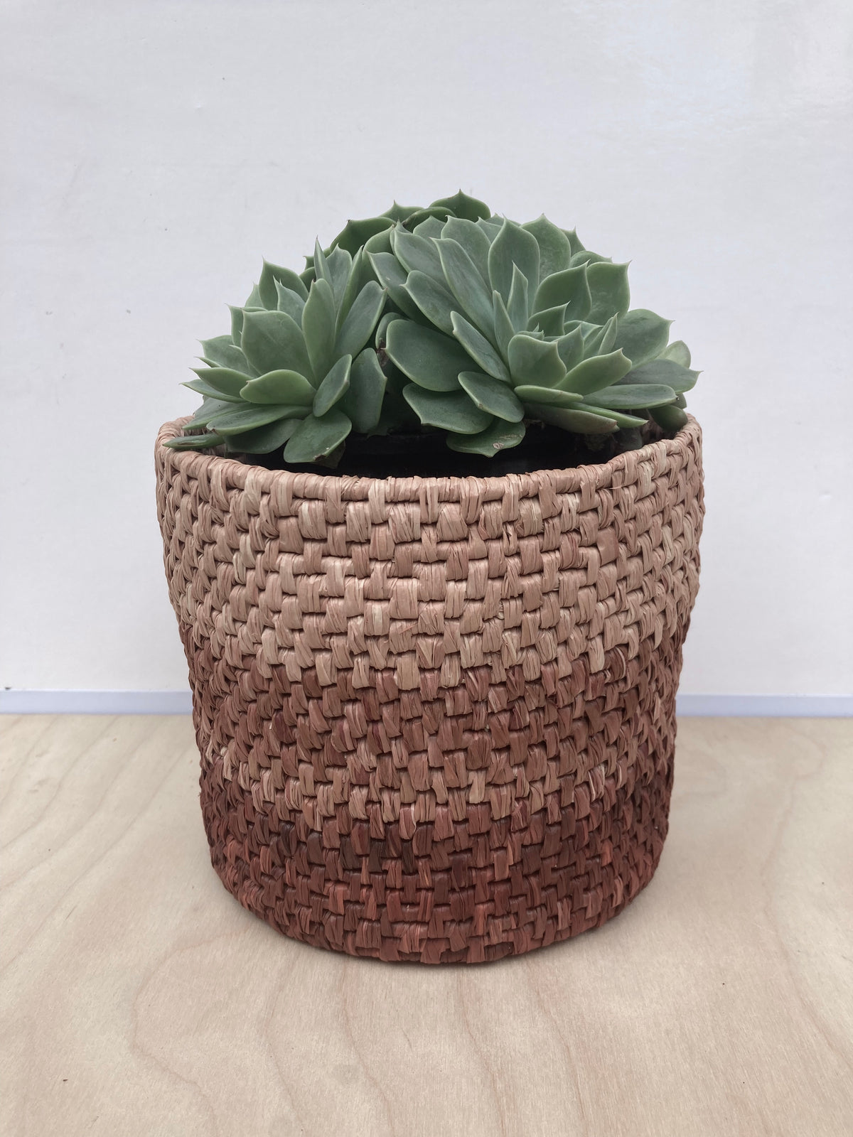 Raffia 150g - Ombré Moccha