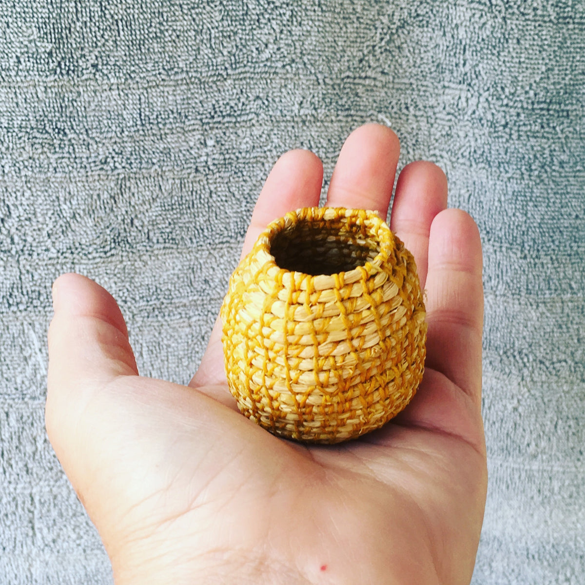 Starter Kit - Wattle