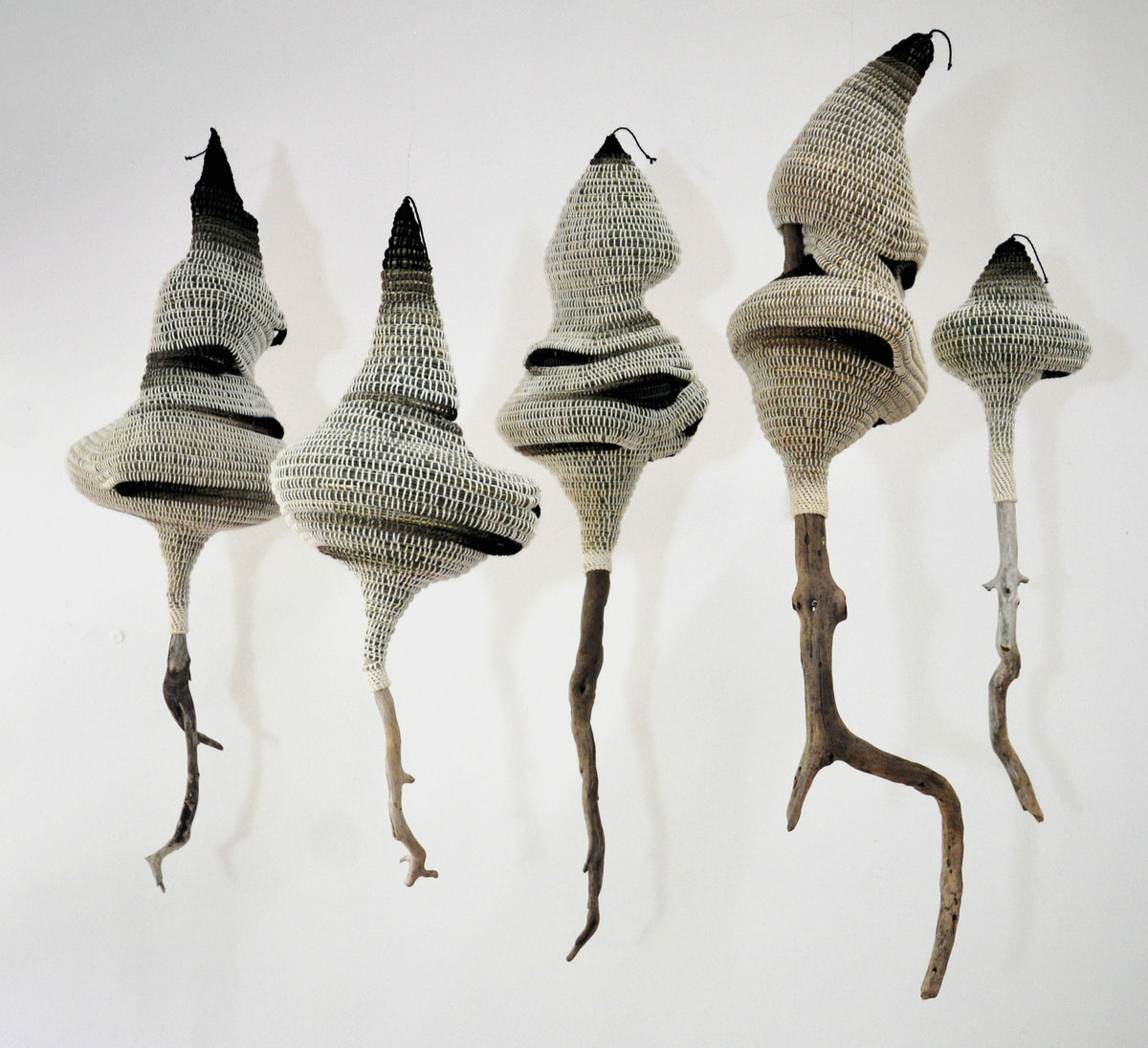 Finding Form With Fibre by Ruth Woods