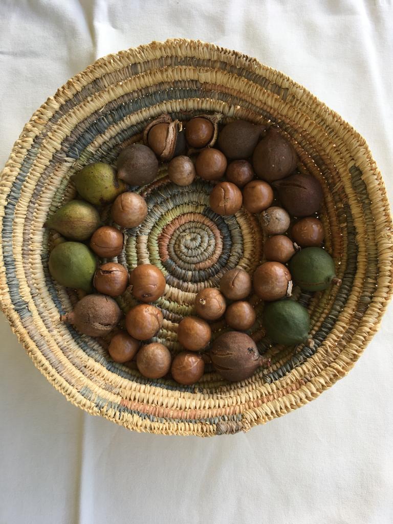 Coiled Basket Kit - Pilbara