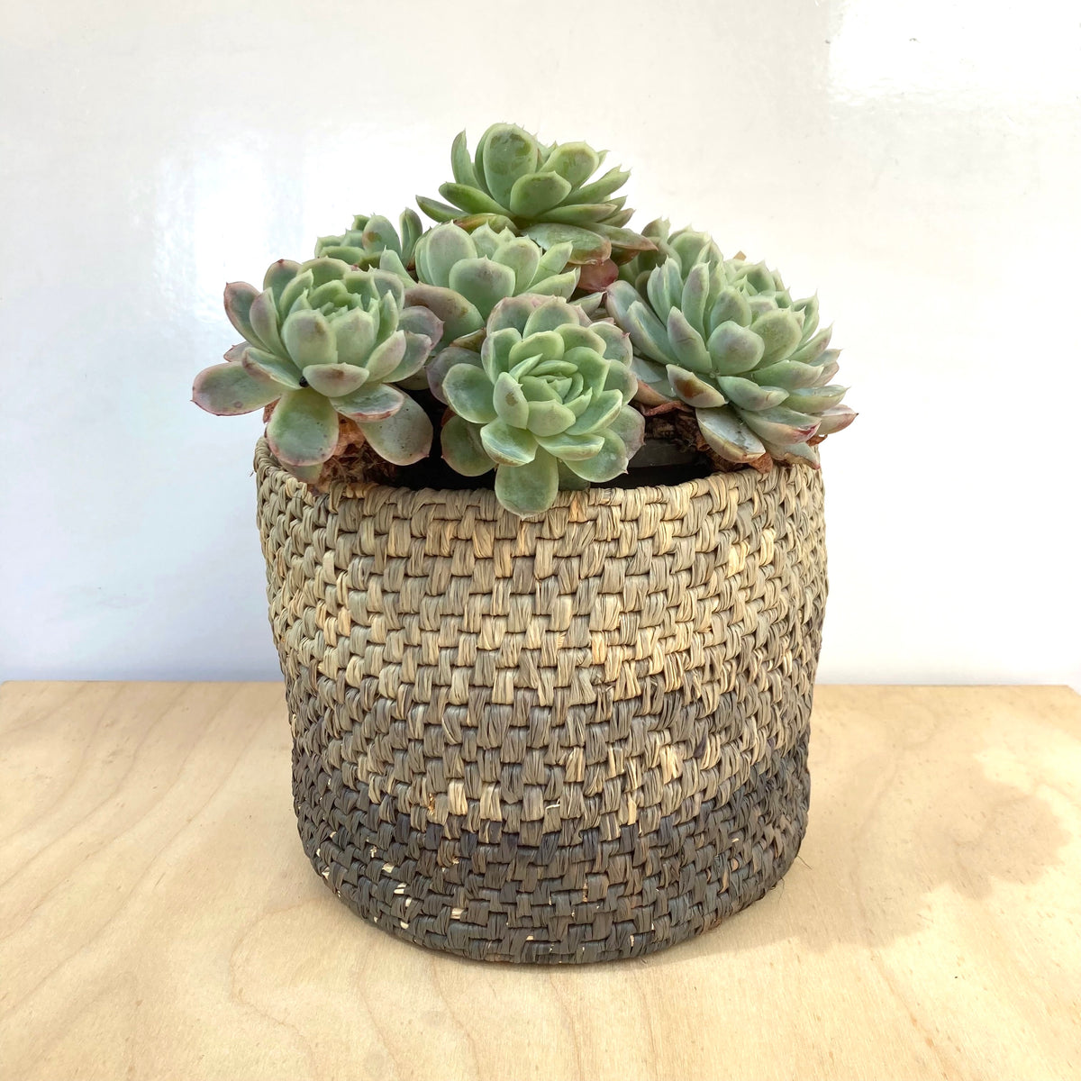 Raffia Basket Kit - Ombré Grey