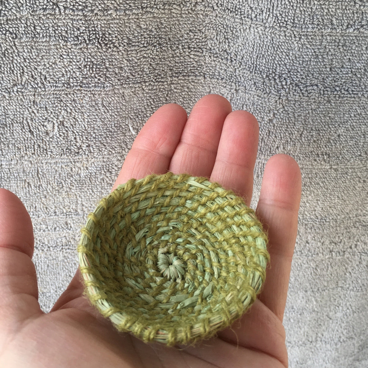 Starter Kit - Alfalfa