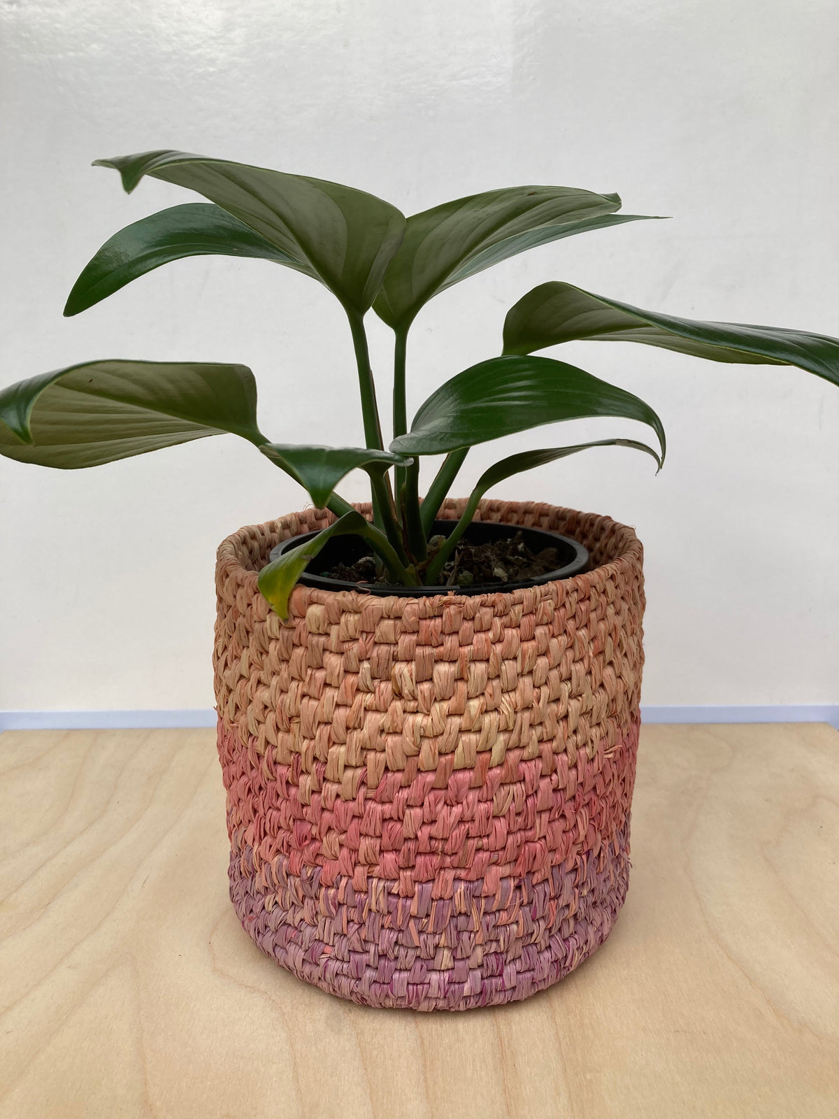 Raffia Basket Kit - Ombré Dusky Pink