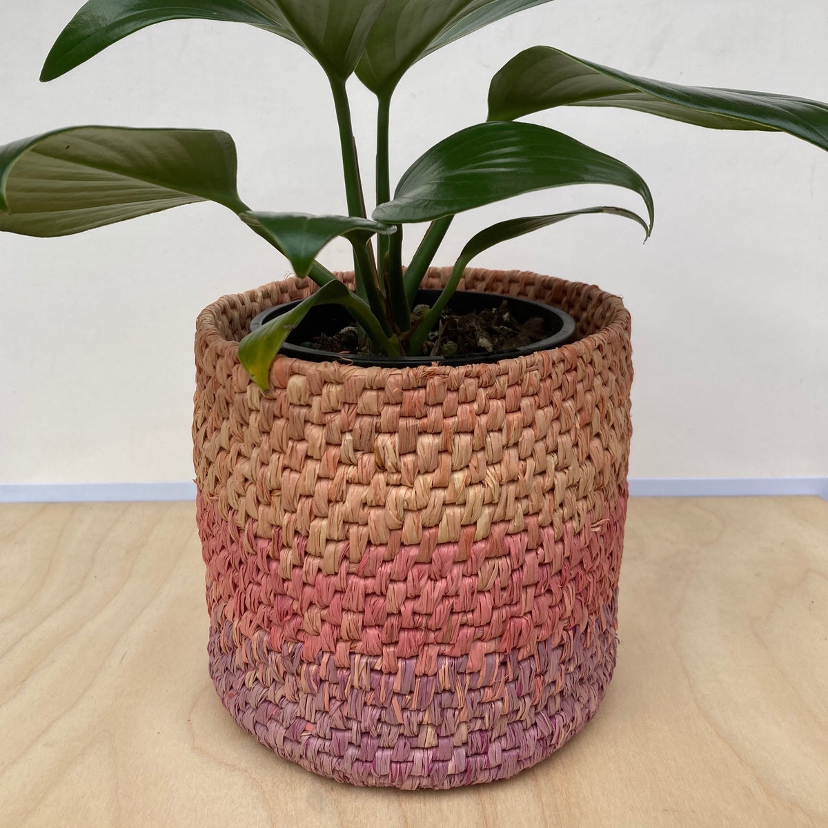 Raffia 150g - Ombré Coral