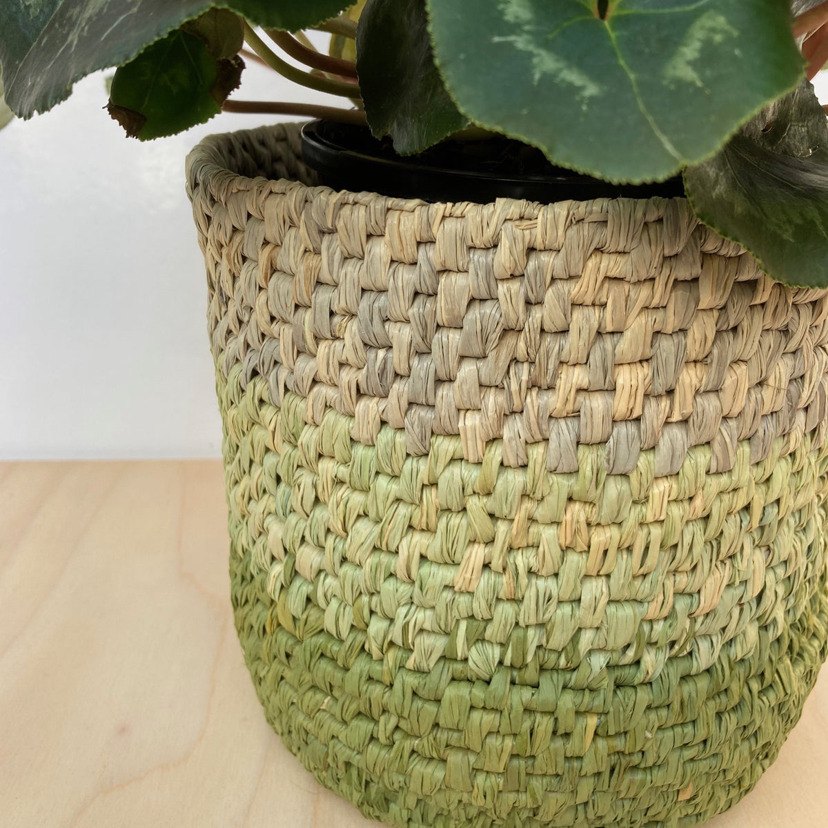 Raffia 50g - Alfalfa (Hand-dyed)