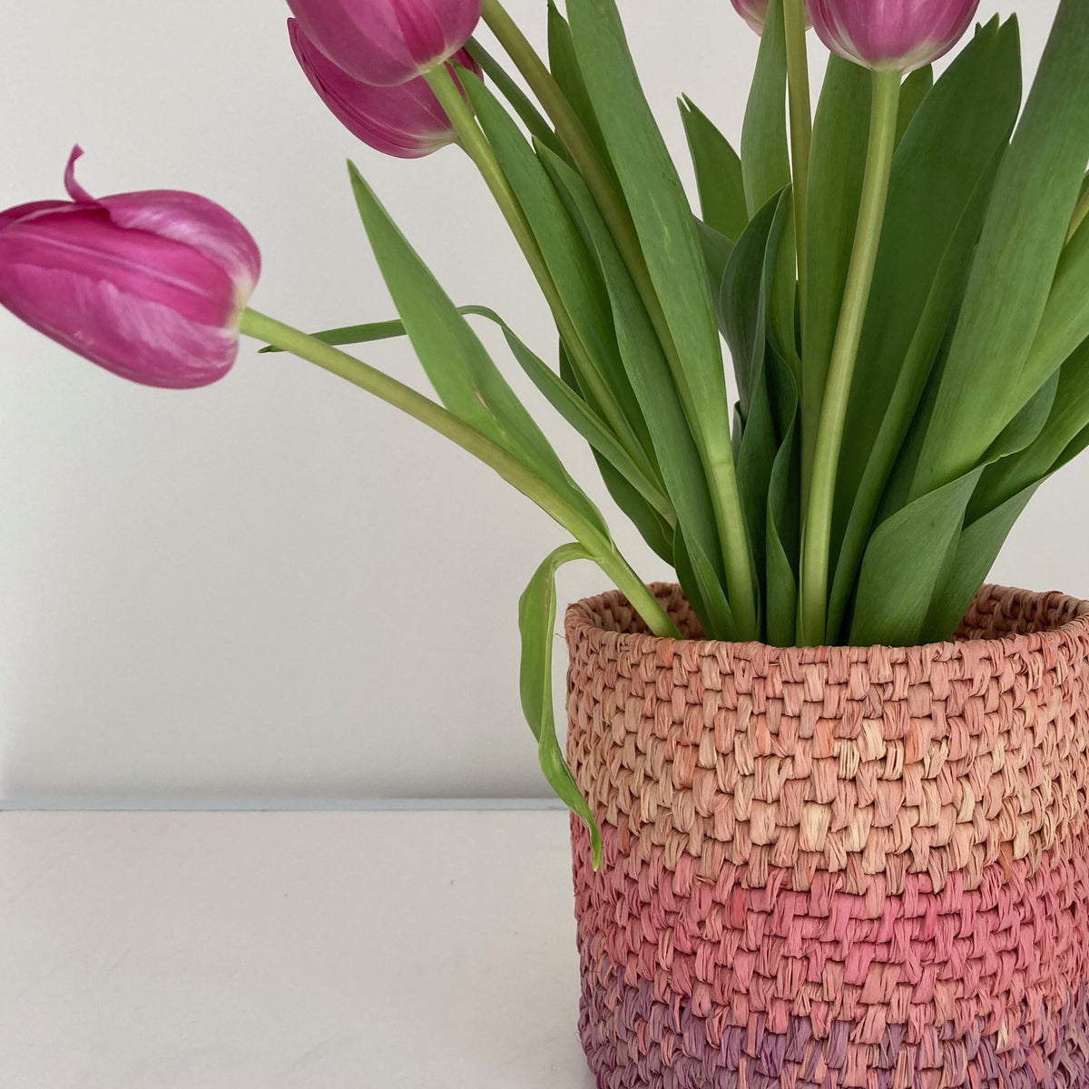 Raffia 150g - Ombré Coral