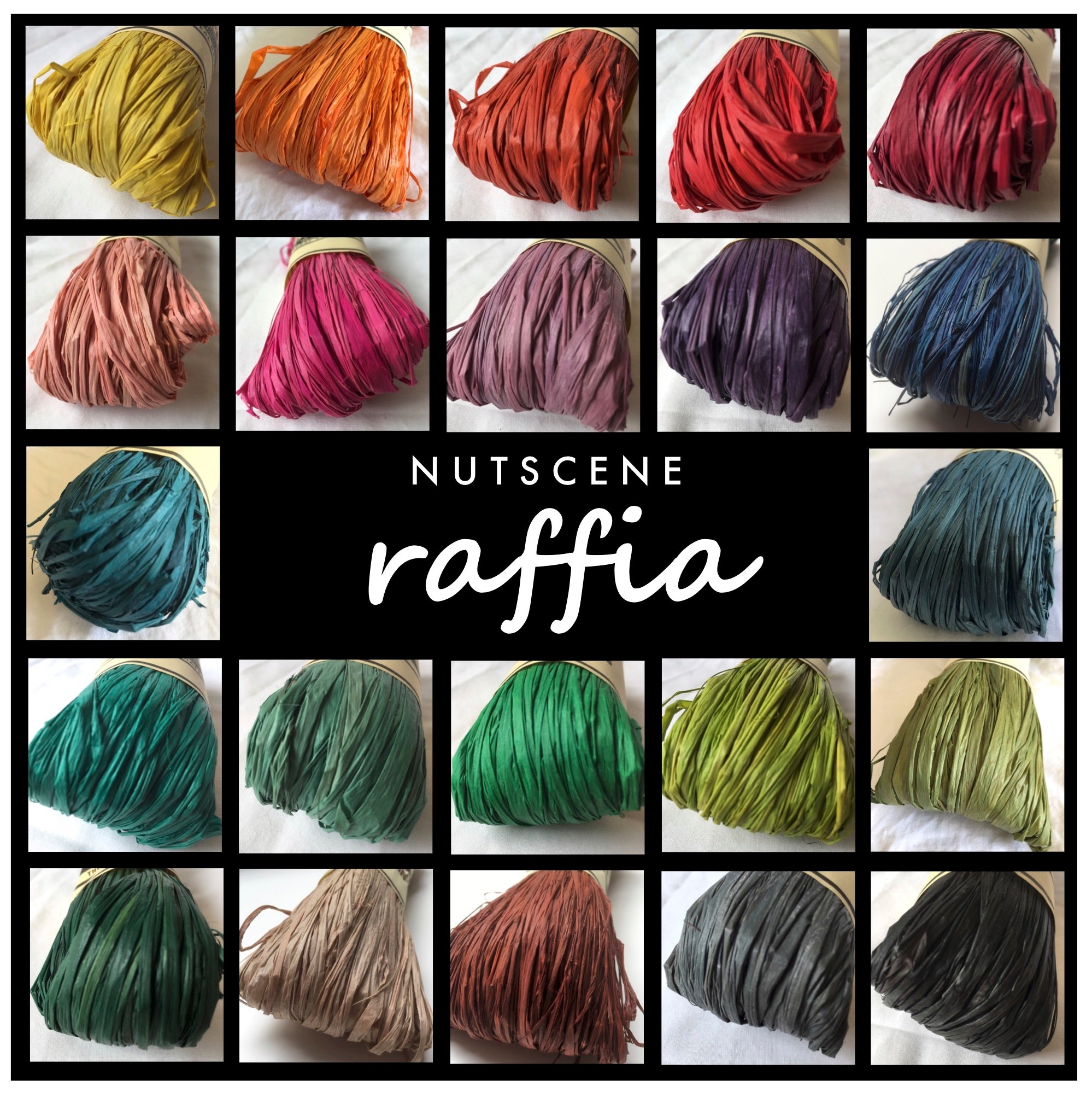 Cascade Raffia Color Raffia Tray Kit & Online Course 1 FOREST - The Raffia Connection