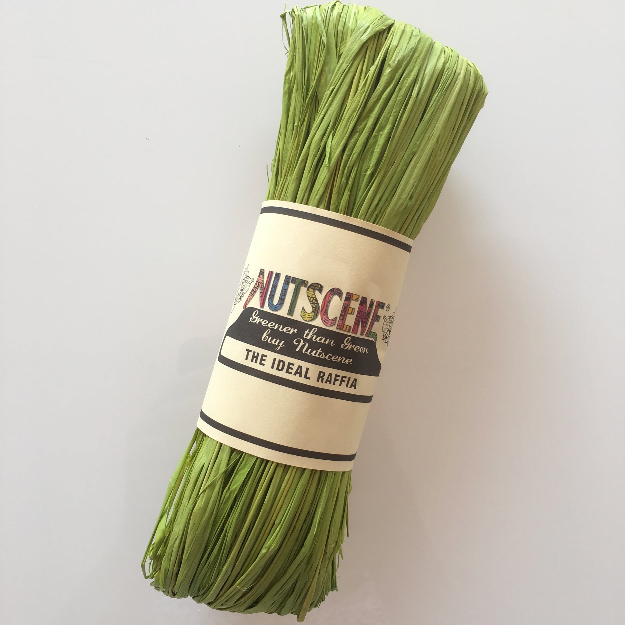 Nutscene Raffia 50g - Spring Green