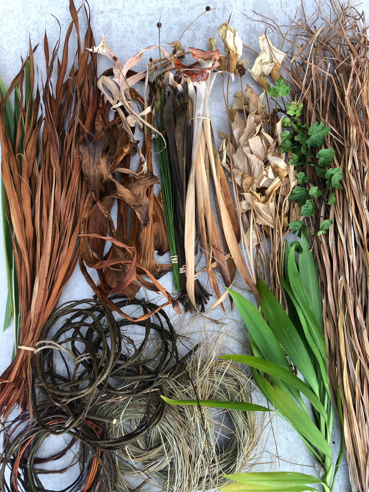 Finding Form With Fibre by Ruth Woods