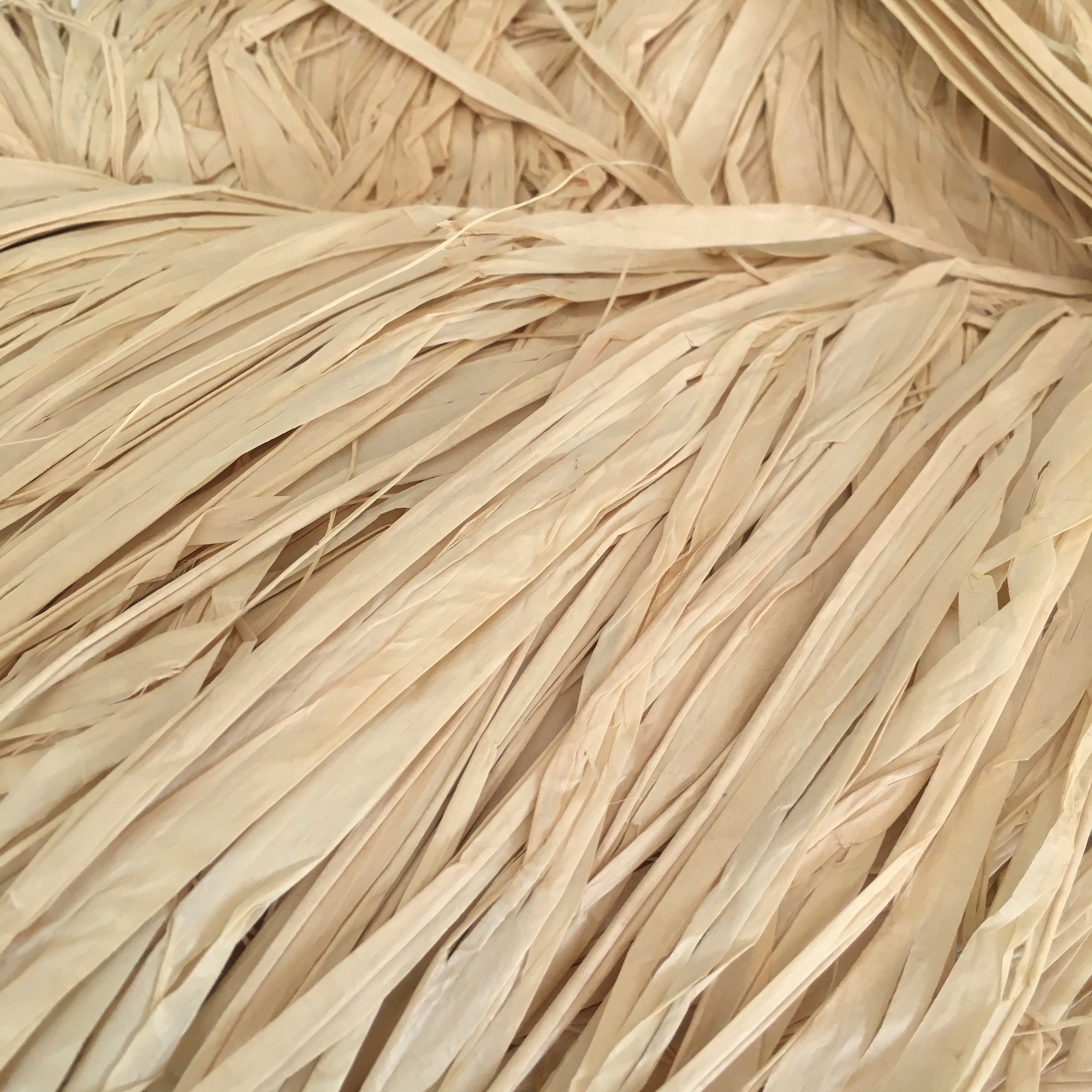 All Raffia - The Raffia Connection
