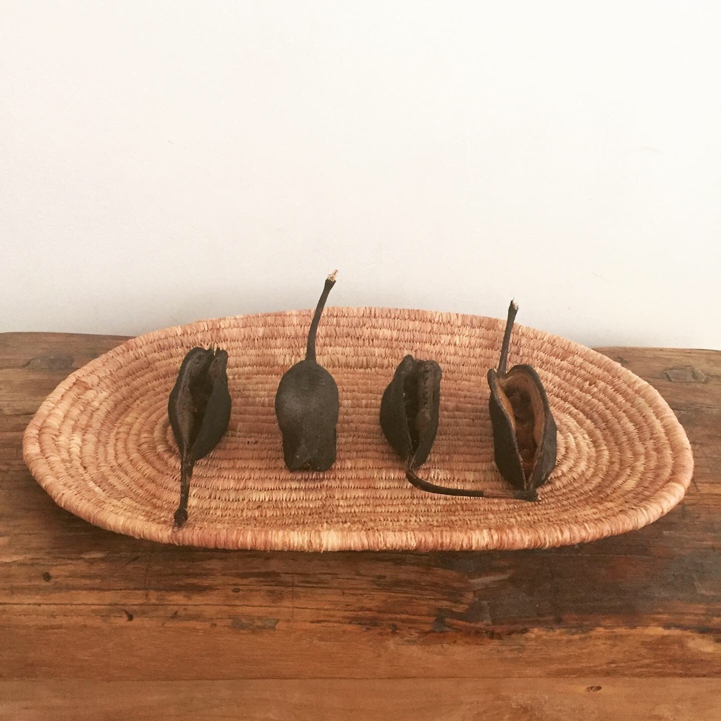 Starter Kit - Burnt Umber