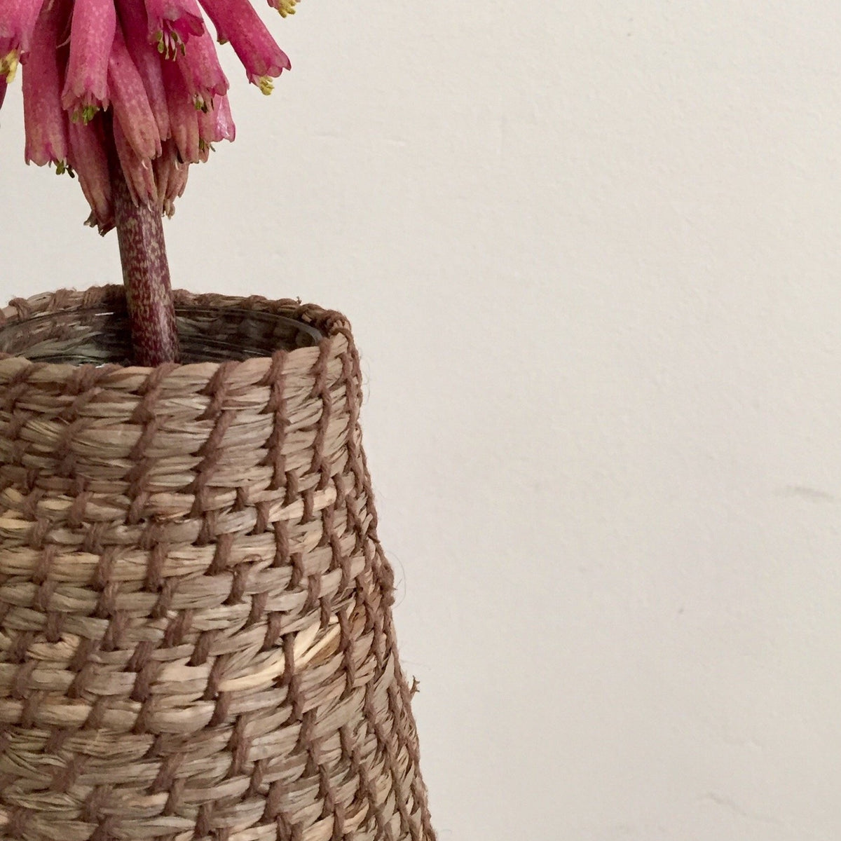 Raffia 50g - Tanbark (Hand-dyed)