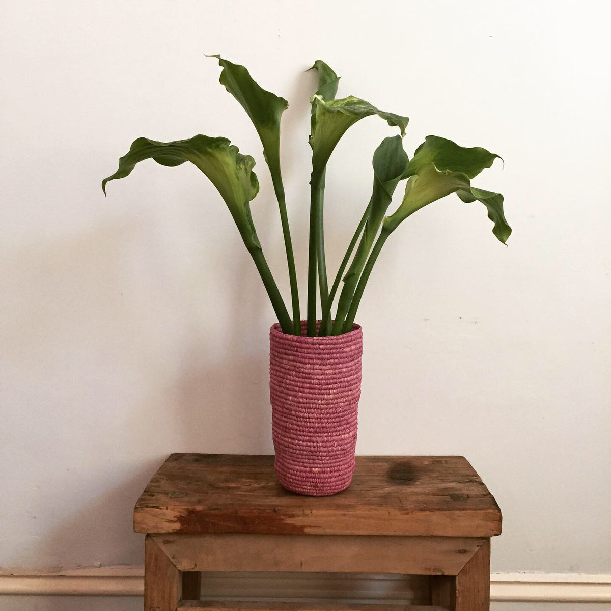 Starter Kit - Wild Raspberry