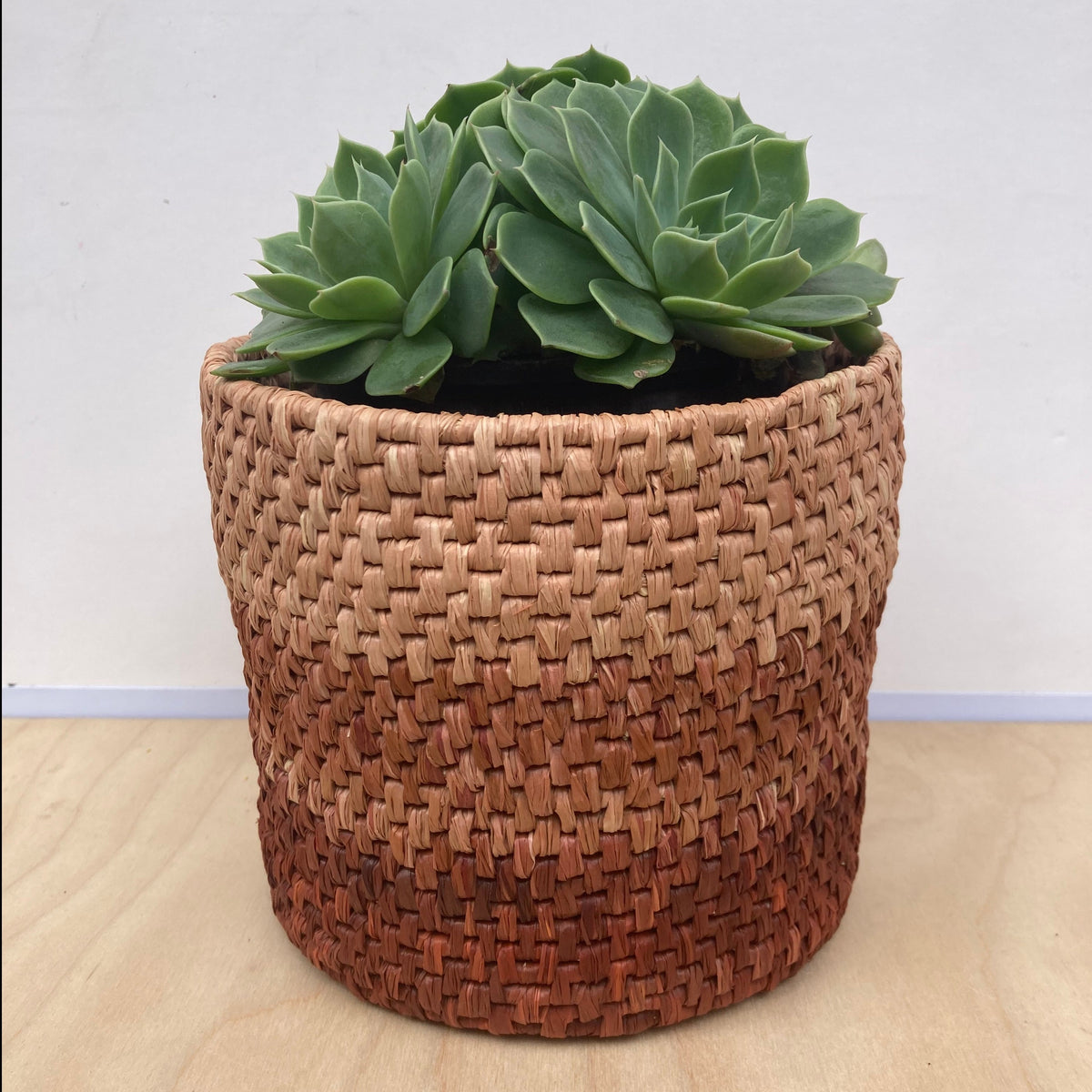 Raffia 150g - Ombré Chestnut