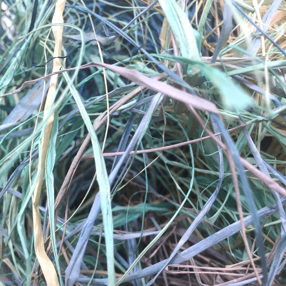 The Wispy Bits - Cool 60g